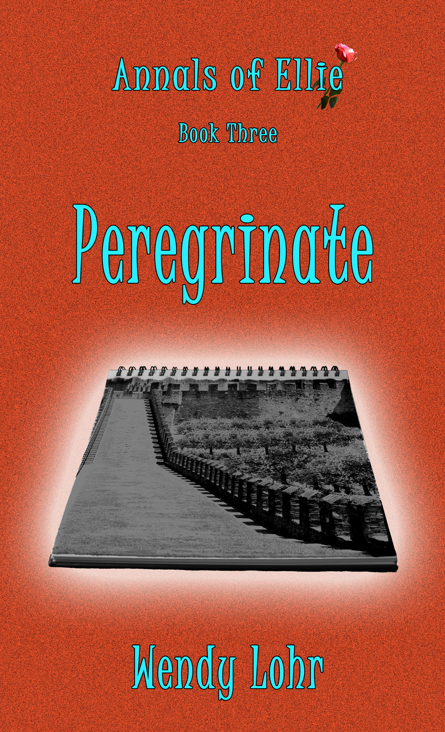 book cover for Peregrinate
