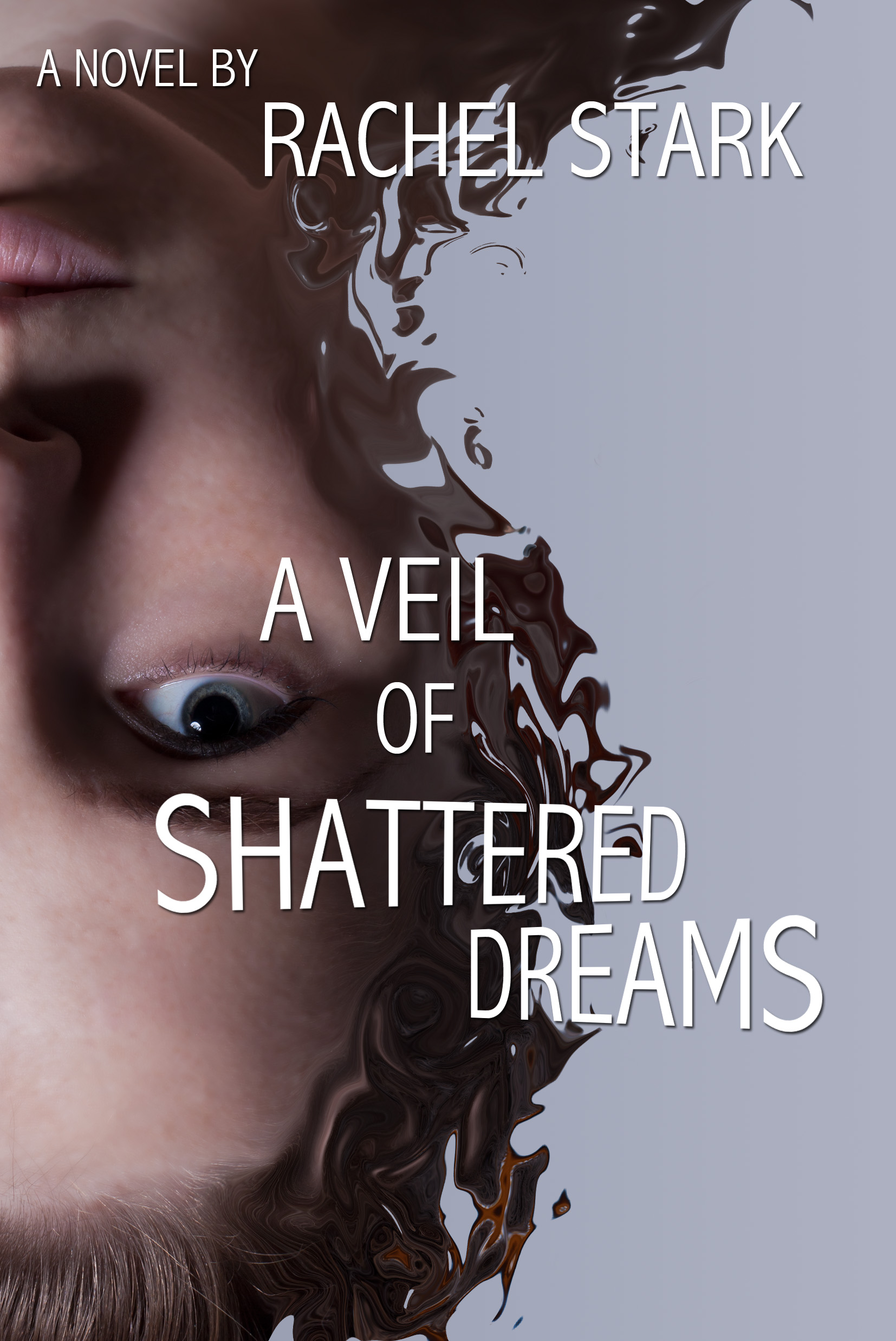 book cover for A Veil of Shattered Dreams